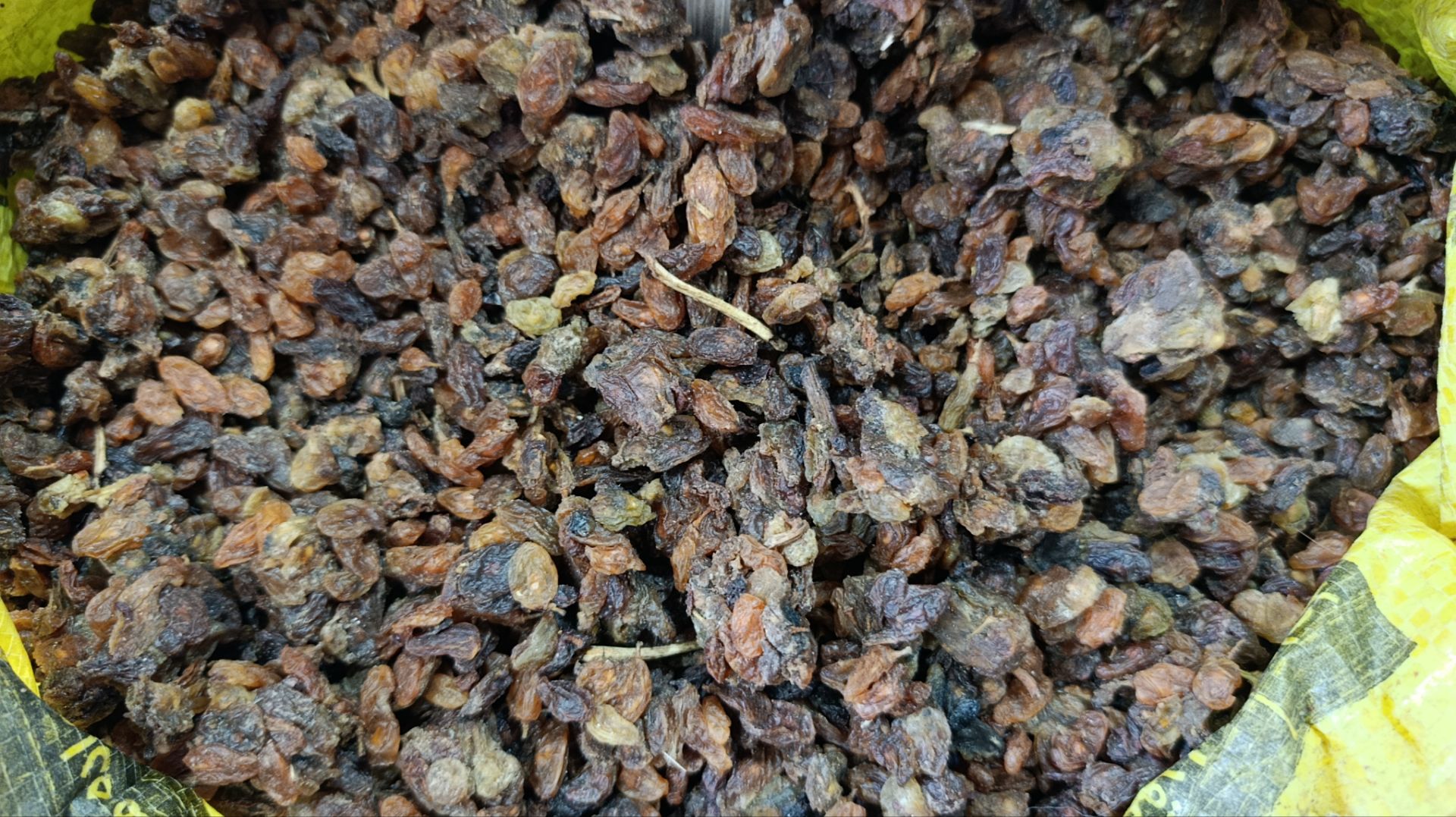 خرید کشمش عسگری مخلوط کاشمر ۱۰ کیلویی | طعم و عطر بی‌نظیر | ارسال فوری